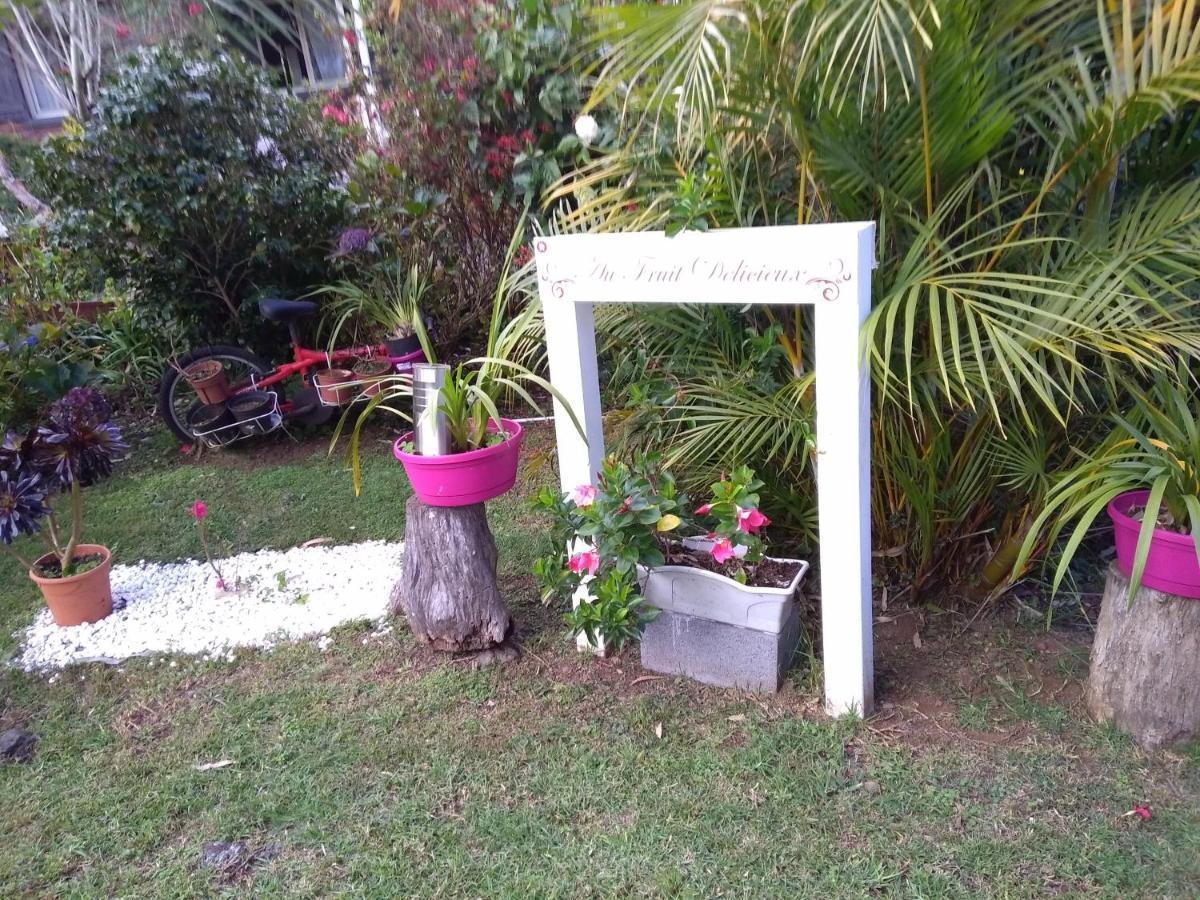 Apartamento Au Fruit Delicieux La Plaine des Cafres Exterior foto