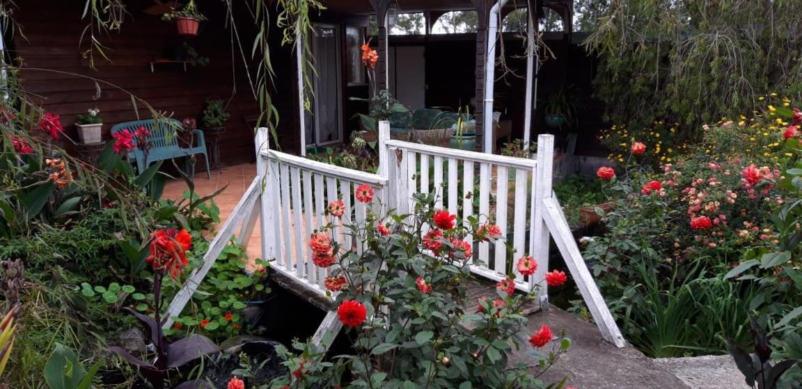 Apartamento Au Fruit Delicieux La Plaine des Cafres Exterior foto
